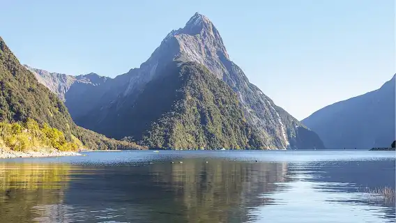 Small Group, Award Winning Milford Sound Day Experience & Cruise