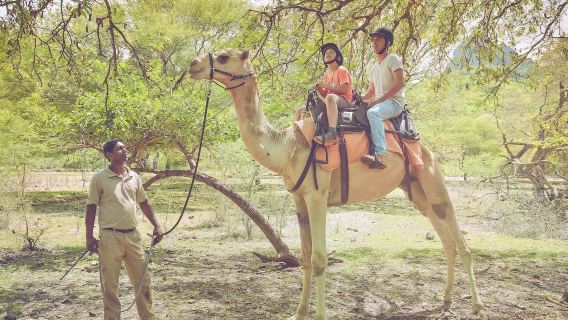 毛里求斯-塔馬林灣-卡塞拉-弗利康弗拉克中文包車8小時一日遊