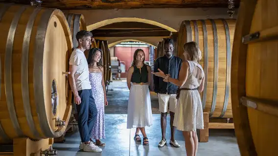 Provence Wine Tour - Small Group Tour from Nice