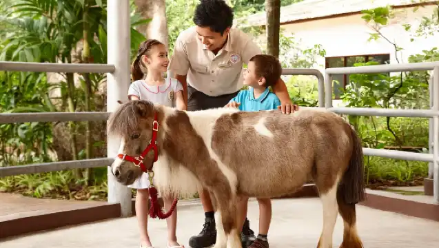 新加坡動物園一日遊夜間河川日間動物園新加坡飯店專車接送普通話