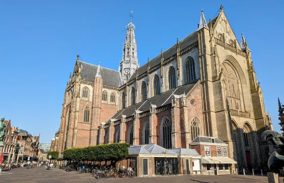 哈勒姆戰役探索：自助城市防禦冒險