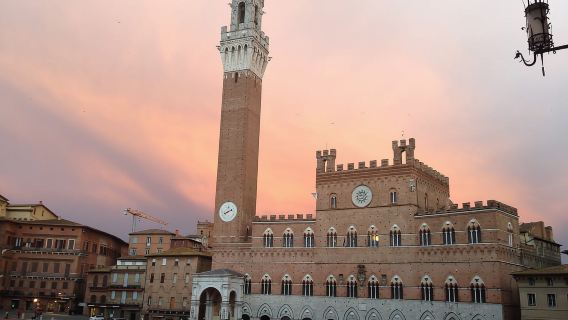 Siena: 3j Private City Walking Tour dengan Katedral Pilihan