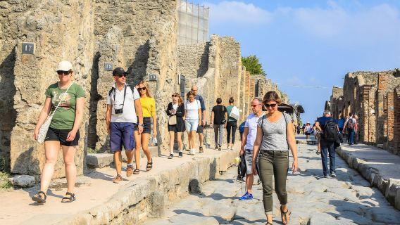 Giornata intera da Napoli: Pompei e Vesuvio con pranzo italiano