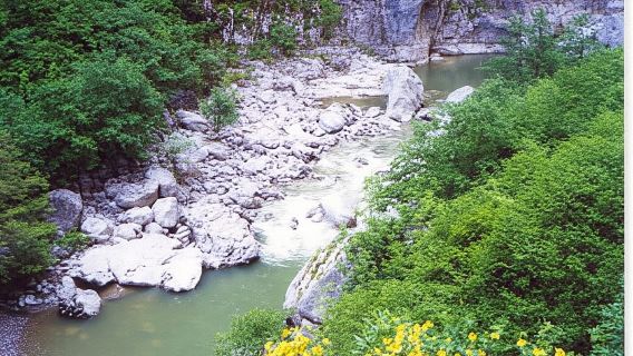 Caminata guiada de día completo por el desfiladero de Vikos