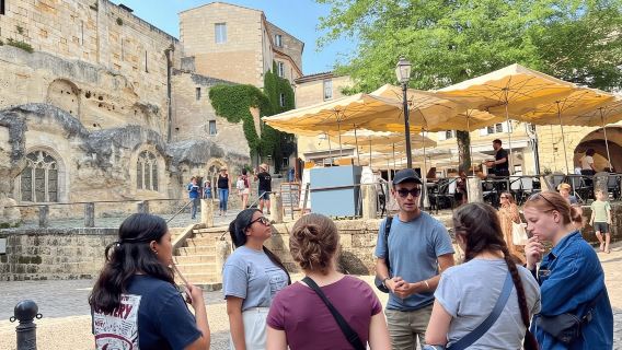 Depuis Bordeaux : visite d'une demi-journée à Saint-Émilion avec dégustation de vins