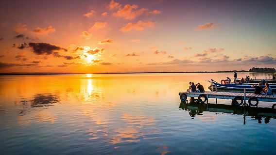Da Alicante: Centro storico di Cullera e Parco Naturale dell'Albufera