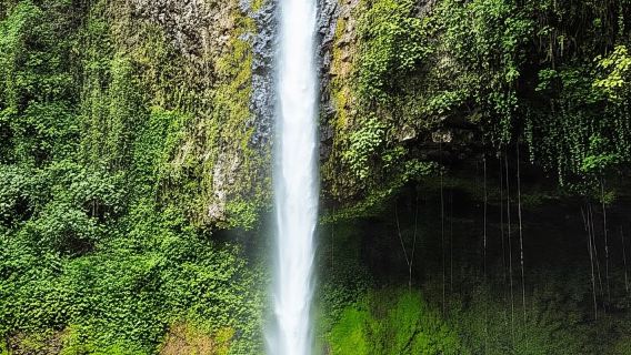 Biglietto d'ingresso alla cascata La Fortuna