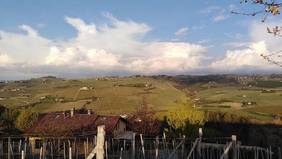 Abellonio Cascina Piccaluga - visit to the vineyards, to the wine tasting cellar