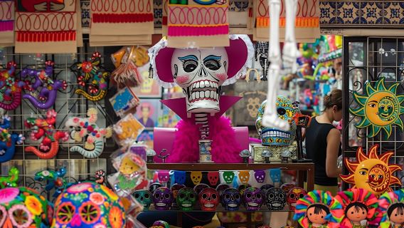 Private sightseeing tour of Mexico City