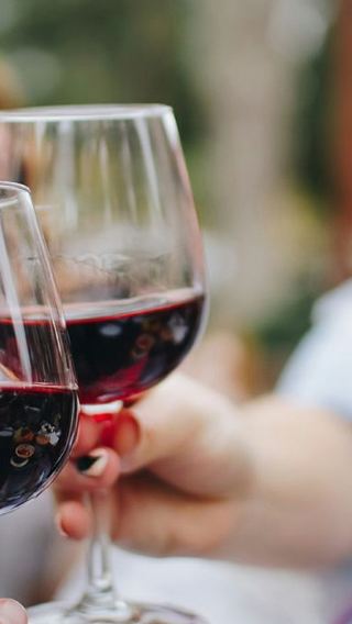 Sydney Hunter Region 1-day Tour [Chinese/English Tour | Multiple Packages | Wine Tasting]