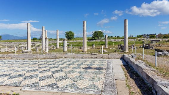 Salonicco: Pella Tour "Sulle orme di Alessandro"