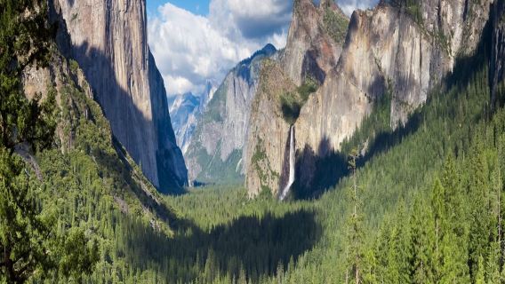 Yosemite National Park Full-Day Tour