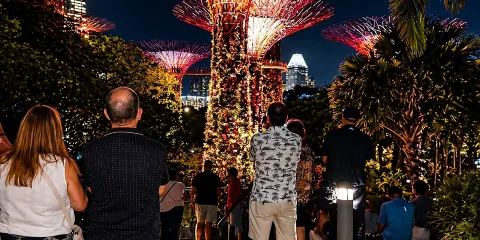 新加坡星空夜河郵輪、光之魅影及花園狂想曲