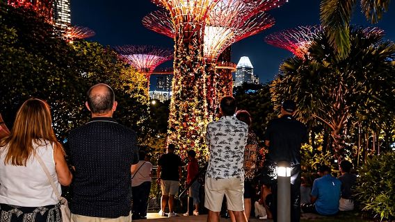 Singapore Starry Night River Cruise, Spectra & Garden Rhapsody