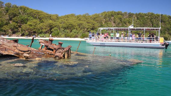 Tangalooma Dolphin Feeding Day Cruise with Marine Discovery Cruise
