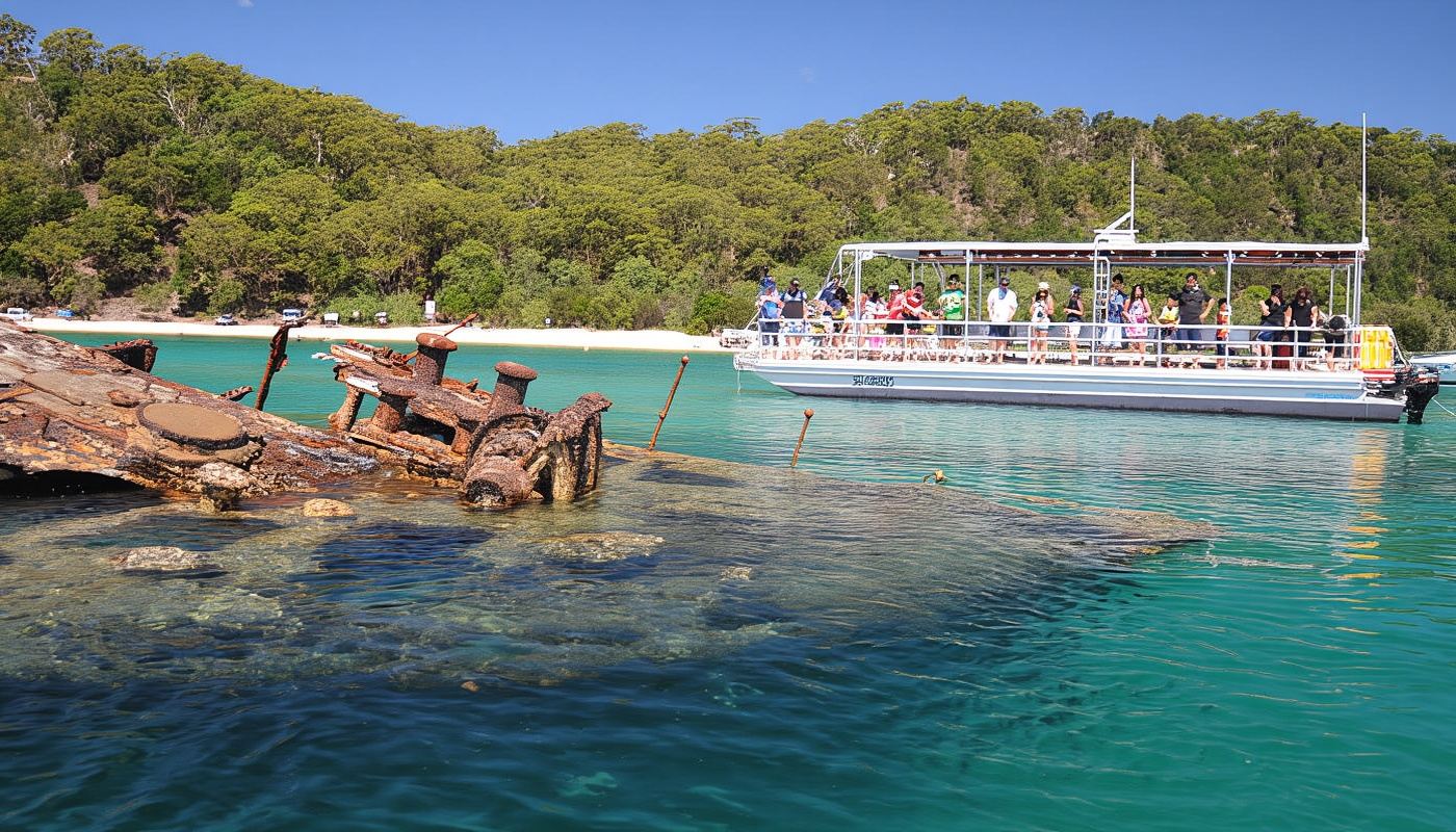 Tangalooma Dolphin Feeding Day Cruise with Marine Discovery Cruise