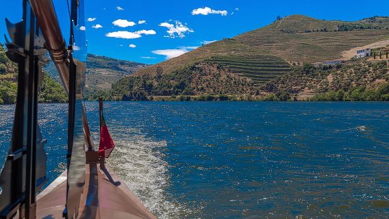 Douro Valley: private tour with lunch and wine estate all inclusive