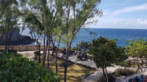 Barbados Half Day Private Tour