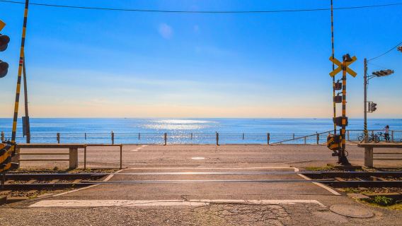 Tokyo + Kamakura In-depth one-day tour: Enoshima Enoden Kamakura High School + Tokyo Skybus