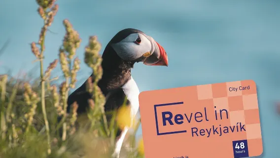 Reykjavik City Card 48 ore