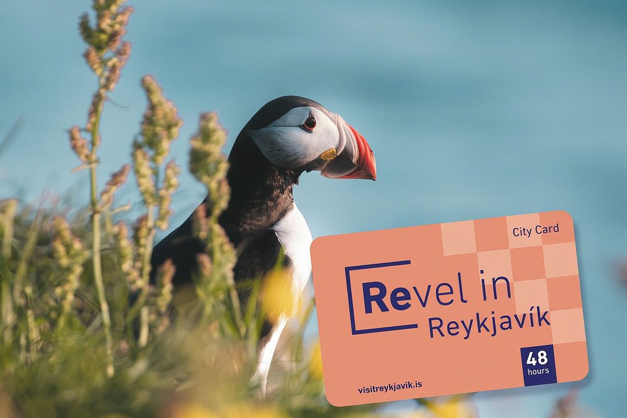 Reykjavik City Card 48 hours