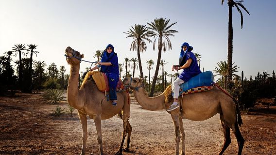2 Hours Private Camel Ride in Agadir