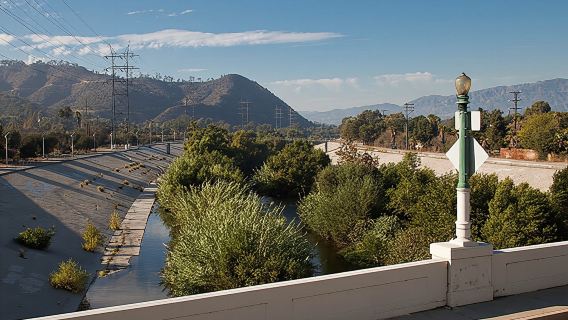 LA River Eco Tour and Secret Stair Hike