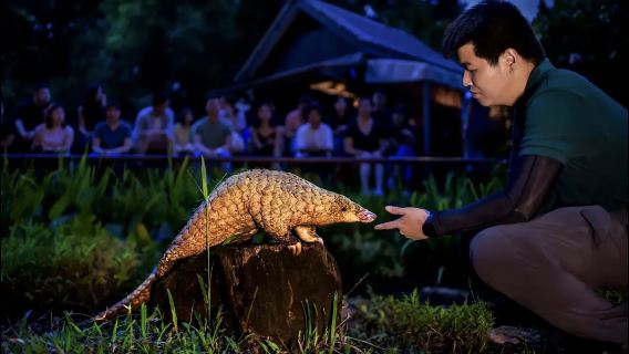 新加坡動物園+新加坡植物園+新加坡纜車【中文專車-舒適純淨】