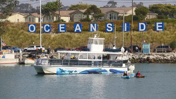 Two-Hour Luxury Whale Watching Tour from Oceanside