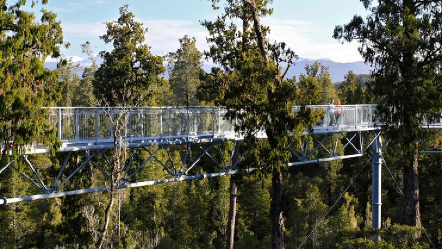 West Coast Treetop Walk