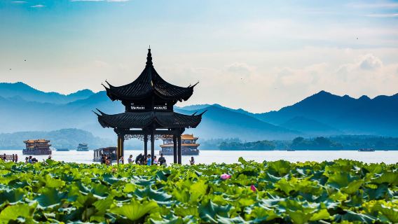 10人團丨杭州雷峯塔+西湖遊船半日遊含門票講解ღ可選品茶畫扇