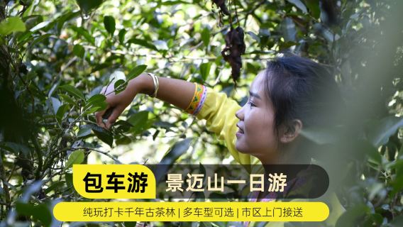 однодневный тур в древнюю деревню Ногань, древнюю деревню Вэнцзи и гору Цзинмай | индивидуальный трансфер/аренда автомобиля с водителем Индивидуальный тур с арендой транспорта