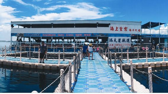 澎湖|海洋牧場|海上皇宮 - 海洋牧場體驗 & 夜夕海牧 & 夜釣小管【2025 澎湖花火節】