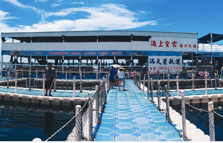 澎湖|海洋牧場|海上皇宮 - 海洋牧場體驗 & 夜夕海牧 & 夜釣小管【2025 澎湖花火節】