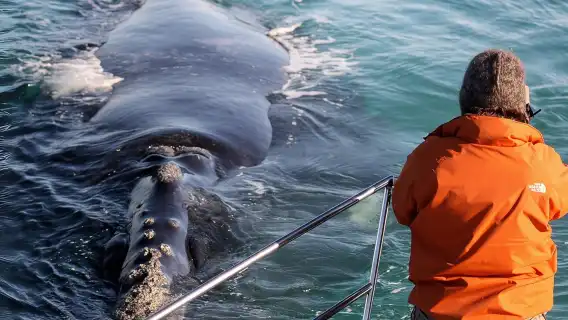 Marine Big 5 Safari: ขับรถเอง