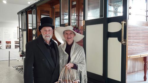 Half Day Tour of Wellington Day Tours