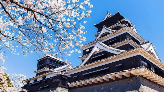 Kumamoto Castle & Aso Crater Exploration, Kusasenri Horseback Riding, Depart from Fukuoka/Kumamoto