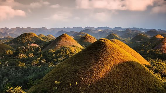 Bohol: Guided Chocolate Hills & Tarsiers Tour