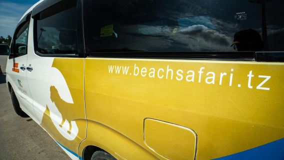 Zanzibar Kizimkazi Secret Cave swim sea turtles Tour