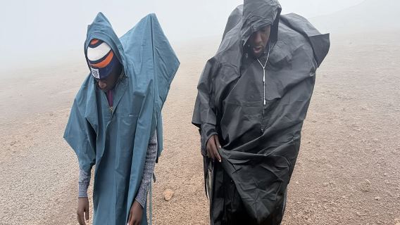 From Arusha/Moshi: Kilimanjaro Hike Marangu Route Day Trip