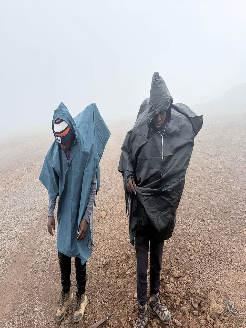 アルーシャ/モシ発：キリマンジャロハイキング マラングルート日帰り旅行