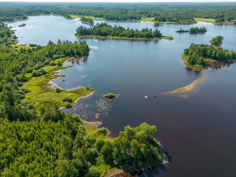 Agunnaryd：獨木舟租賃連救生衣及划槳