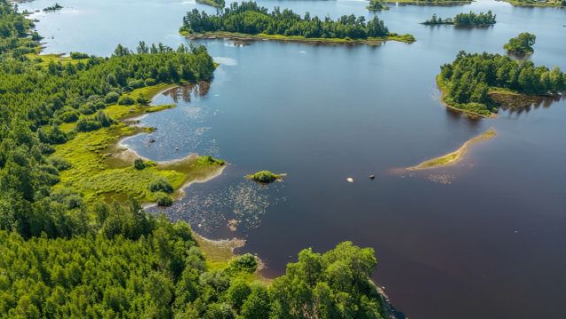 Agunnaryd: Thuê Kayak Bao Gồm Áo Phao & Máy Chèo