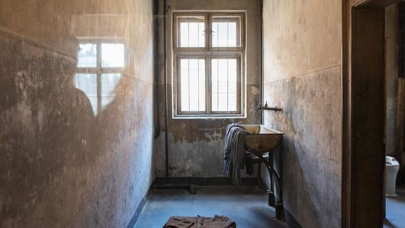 From Krakow: Auschwitz-Birkenau Guided Tour