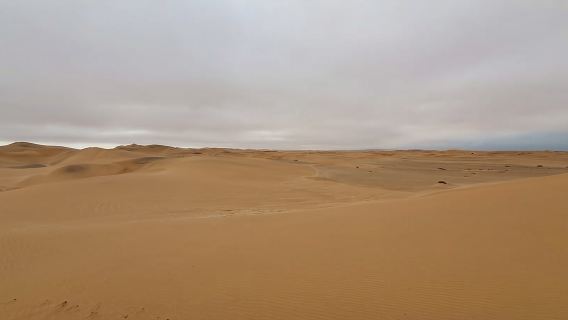 Swakopmund: Tur Sepeda Quad Satwa Liar Gurun Little Five