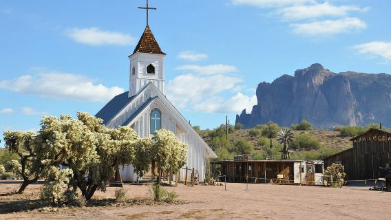 Phoenix/Scottsdale: Apache Trail Tour & Canyon Lake Cruise
