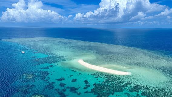 Outer Reef Mackay Cay Sail & Snorkel Adventure from Port Douglas