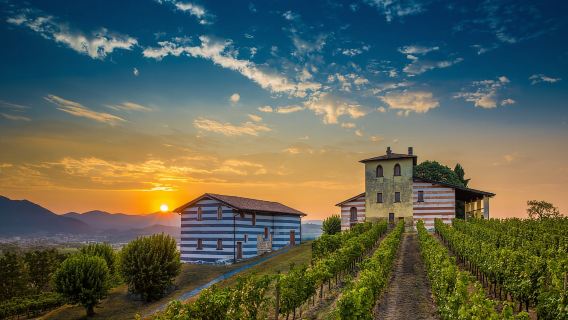Milano: gita di un giorno alle cantine della Franciacorta e a Bergamo con pranzo