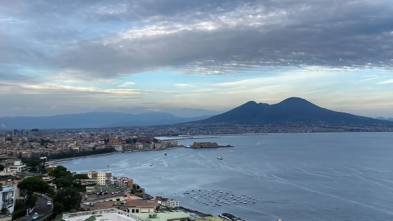 Vesuvius Park Skip-the-Line Ticket + support