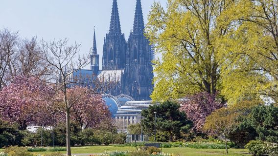 Cologne: Jelajah Segway Sorotan Bandar